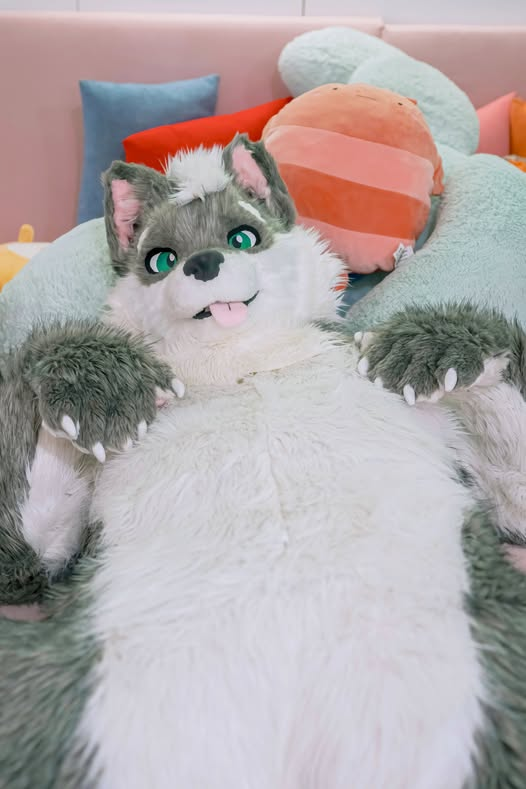 boy2wolf's tweet photo. ねぇ…いっしょにハグしよ？もっと近くに来て…♡

📷 @NeoPeng
✂️ @ChieLuFursuit 
#FursuitFriday https://t.co/pJZYnQxRNF
