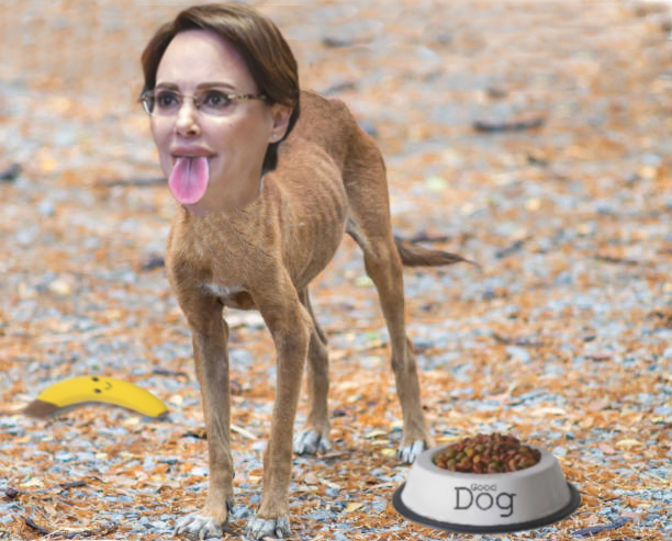 rand0m3e1's tweet photo. "Todos Somos Perritas de Trump"

Lilly Téllez https://t.co/JBAkglasbD