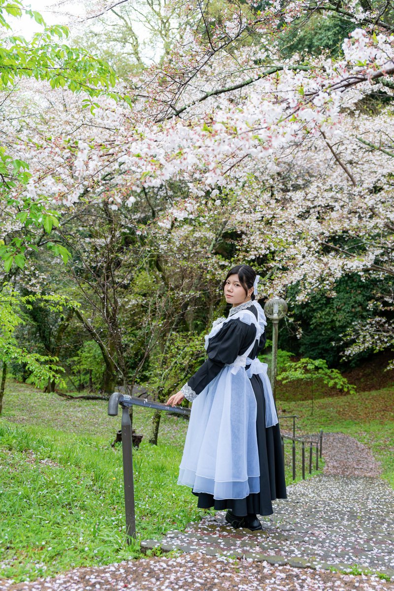 rinoa_rcgm's tweet photo. ご一緒にお散歩
いかがですか？

photo:@miao_photo 
#花と私と #四季と私と #りのポトレ https://t.co/jIgyDzFdkm