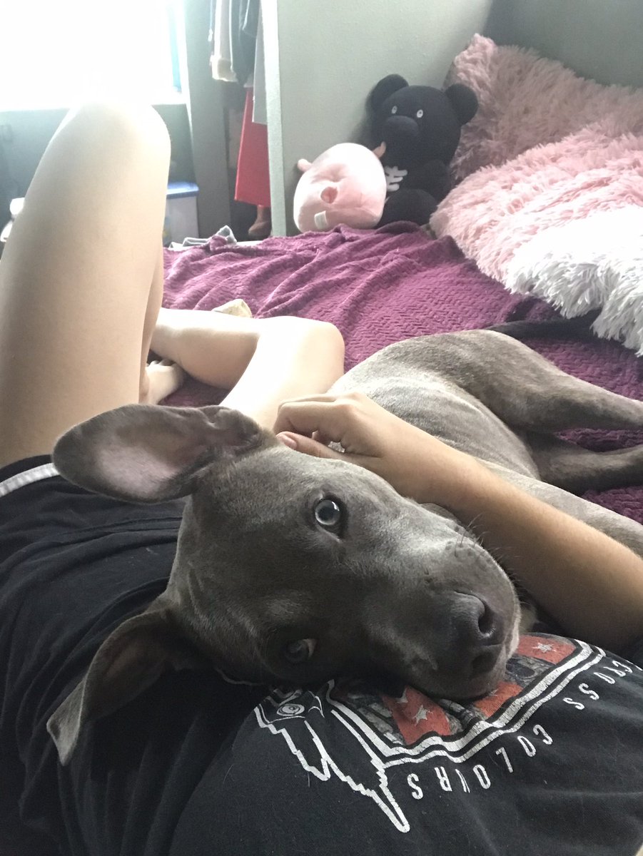 Kara Melina tweet media