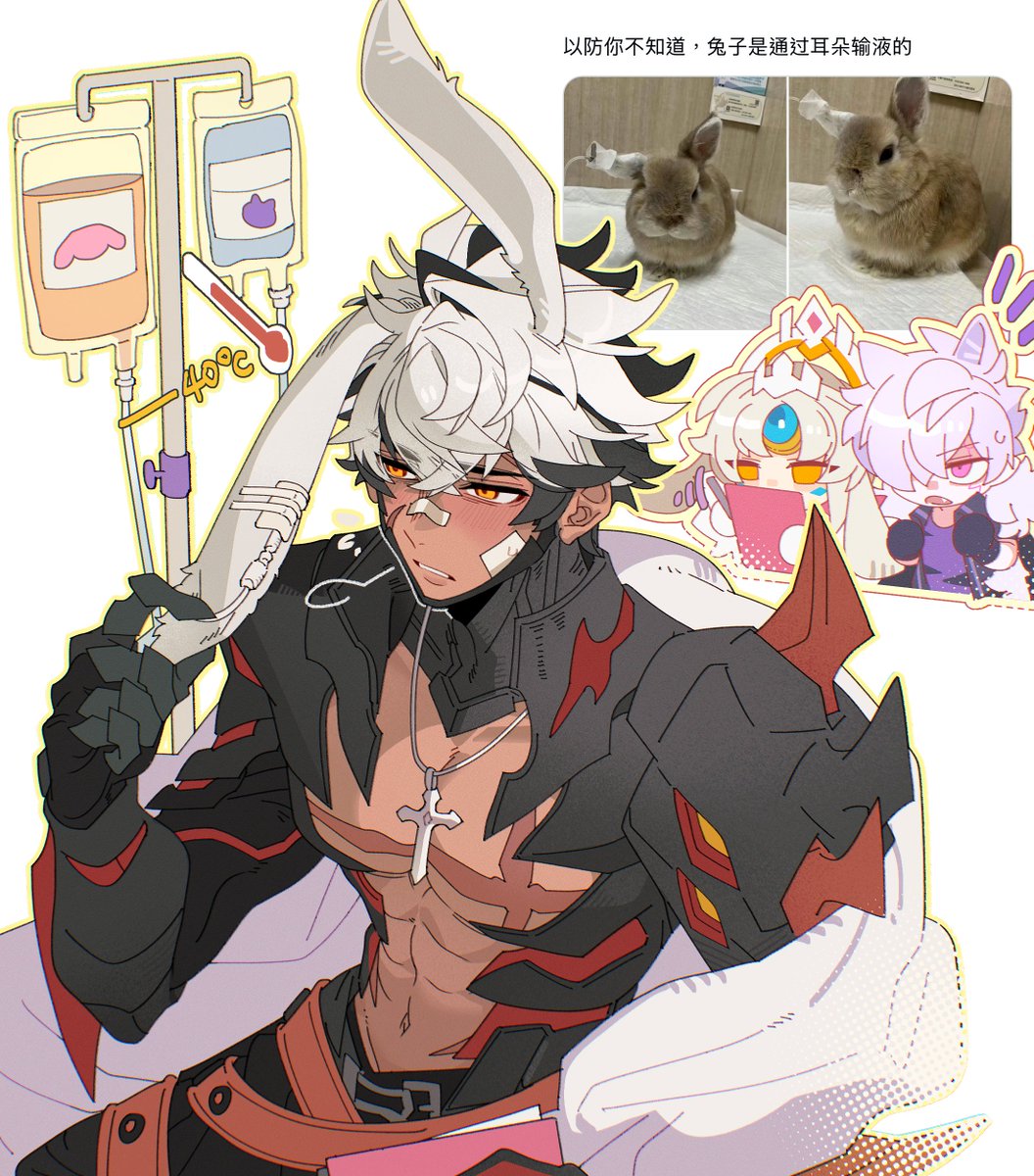 BlackCatwithU's tweet photo. 💉 🐰              📑🐰🐱💦 https://t.co/jQwsLktRSN