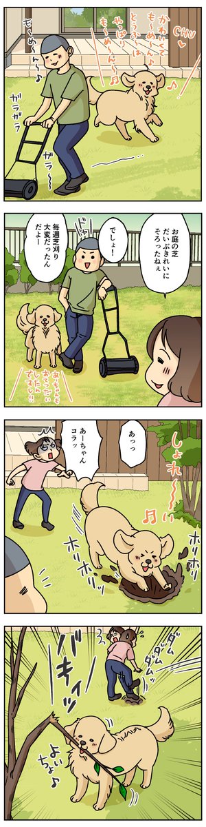 arty_niimi's tweet photo. 愛犬を愛でるための庭 https://t.co/tvPvcXyY0w