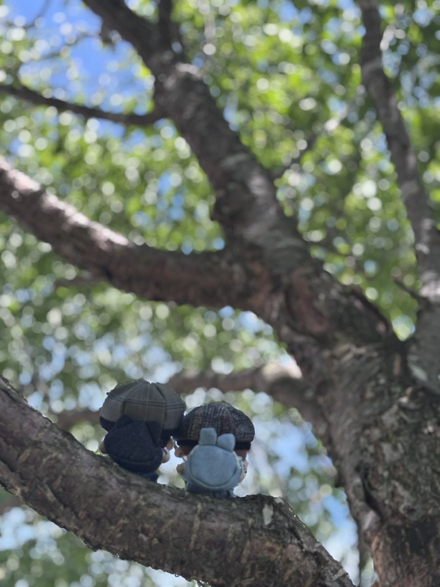 BBGRDY's tweet photo. 快晴で夏日の北海道はぬい撮りが捗りますわね
麦わら帽子でサロペットのふまちこちゃんをお外に連れ出せて良かったーーー！！

すのビちゃんも撮れたし
めめなべぬいちゃんは相変わらず後ろ姿までかわちい

※私有地です https://t.co/1iwSwqDuvV