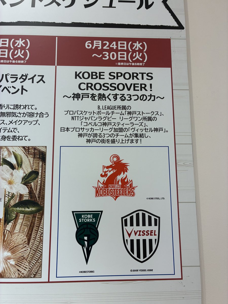 Momohan_100's tweet photo. 神戸阪急にお知らせ出てたんやけど！？！？こんなんあるん！？！？お知らせ出てたっけ！？！？
#神戸ストークス https://t.co/xe7zjfKSfT