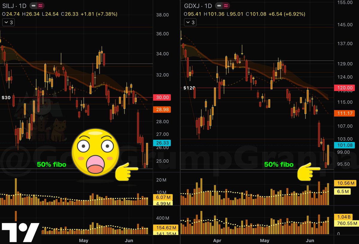 GoldGrumpGranpa's tweet photo. #Silver and #Gold futures waited patiently for the #COMEX ghost pit close before exploding vertically, as if those hours still matter.☺️

#SILJ and #GDXJ obviously enjoyed the party, finally delivering a respectable rebound: +7.38% and +6.92%.

What amazes me more than the daily gains is where they chose to bounce. Both turned higher exactly at the 50% retracement of the entire, astonishing bull run from October 2023 to the absolute peak.😵

There's nothing magical about that level. Markets simply do what markets do, and sometimes they respect certain coordinates with almost absurd OCD precision.😌

Giving back half the gains of such a powerful advance is psychologically draining. After weeks of relentless losses, those who bought near the highs have likely surrendered and moved on.🥲

As noted recently, we took out a  meaningful weekly low just two days ago, kicking out untold legions of newly minted wannabe gold bugs from their positions.
Many of them will never touch this sector again. 😅

The question now is whether we've completed enough spring cleaning to start building something constructive from these levels, or whether more blood still needs to be spilled before the market can fully digest the historic 2024-25 upleg.☺️

We now head into our beloved Tutor's Friday with no particularly important data releases on the schedule.

Do not to lose your shirt on a Friday.🤠

#PreciousMetals #JuniorMiners
