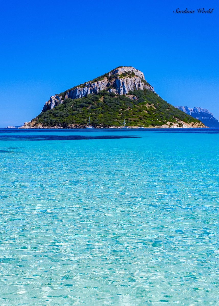 Elderasmo's tweet photo. Isola di Figarolo,Sardegna https://t.co/Dig8u9WoTP