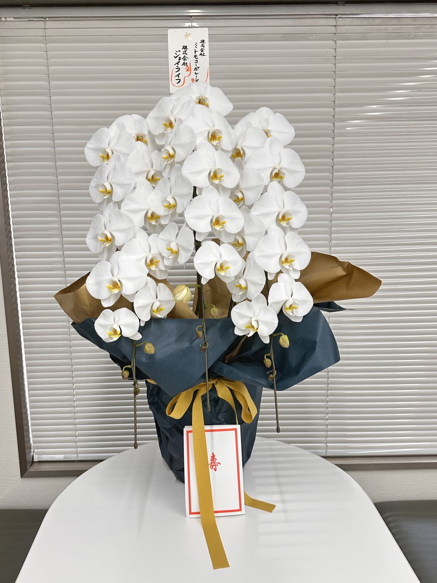 MITOMO_GUARD_PR's tweet photo. 弊社中津川支店の移転のお祝いに、株式会社ジェイライフ様より胡蝶蘭をいただきました🌺
オフィスが一気に華やかになりました！
温かいお気遣いをありがとうございます。
新しい環境で気持ちを新たに頑張ってまいります。 https://t.co/k5CS74nKuC