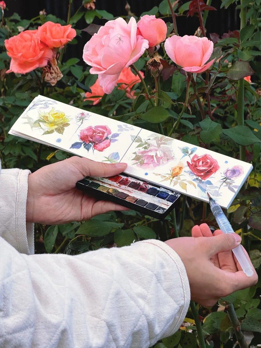 OmeOmy21's tweet photo. New hobby alert! Pick up watercolor painting this weekend—no experience needed, just grab a set of cheap brushes and a notebook. Small strokes bring big calm. Start creating today! https://t.co/9g7z07NyxK