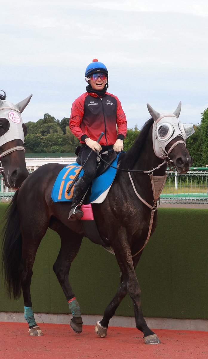 A_IRacing's tweet photo. やんちゃ坊主のトクシースタローン君☺️
愛くるしい、憎めない子です✨

今回は原優介騎手の手綱！
追い切りでは
ズブいスタローンを頑張って動かしてくれました😂調子はよいみたいです✨

【日野特別】出走！
頼むぜ、原君＆スタローン！🐴👍

#トクシースタローン
#原優介
#辻哲英
#AIレーシング
#日野特別