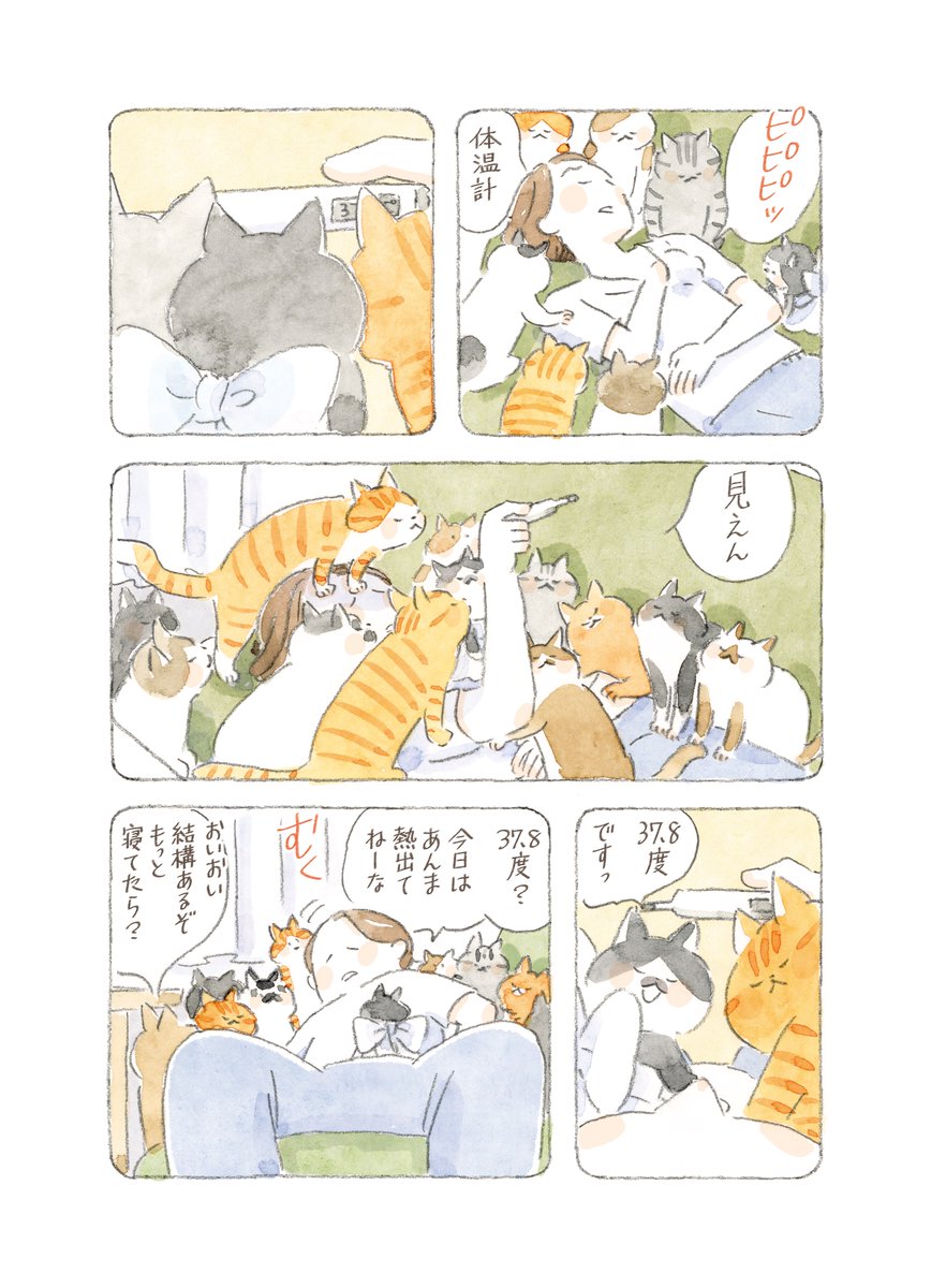 ねこまき ミューズワーク 2026年03月18日（水）ねことじいちゃん12巻