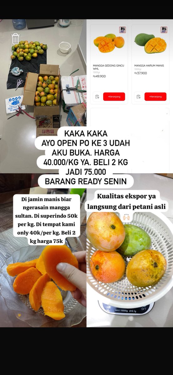 slamanullah10's tweet photo. Izin jualan ya kak.🙏🏻 ni saya adakan open PO mangga gedong gincunya 40k/kg. Mangganya para sultan . Kaka boleh mintol like atau rt ya kak🙏🏻terimakasih. Untuk Penjualan bisa COD ya kaka di RS PRIMAYA BEKASI UTARA🙌🏻 ramaikan ya kak.🙏🏻 teman sejawat tesimoninya manis banget kak🙌🏻 https://t.co/EoCtLCVHn0