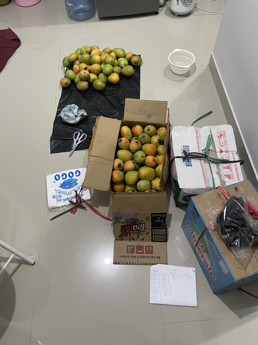 slamanullah10's tweet photo. Izin jualan ya kak.🙏🏻 ni saya adakan open PO mangga gedong gincunya 40k/kg. Mangganya para sultan . Kaka boleh mintol like atau rt ya kak🙏🏻terimakasih. Untuk Penjualan bisa COD ya kaka di RS PRIMAYA BEKASI UTARA🙌🏻 ramaikan ya kak.🙏🏻 teman sejawat tesimoninya manis banget kak🙌🏻 https://t.co/EoCtLCVHn0