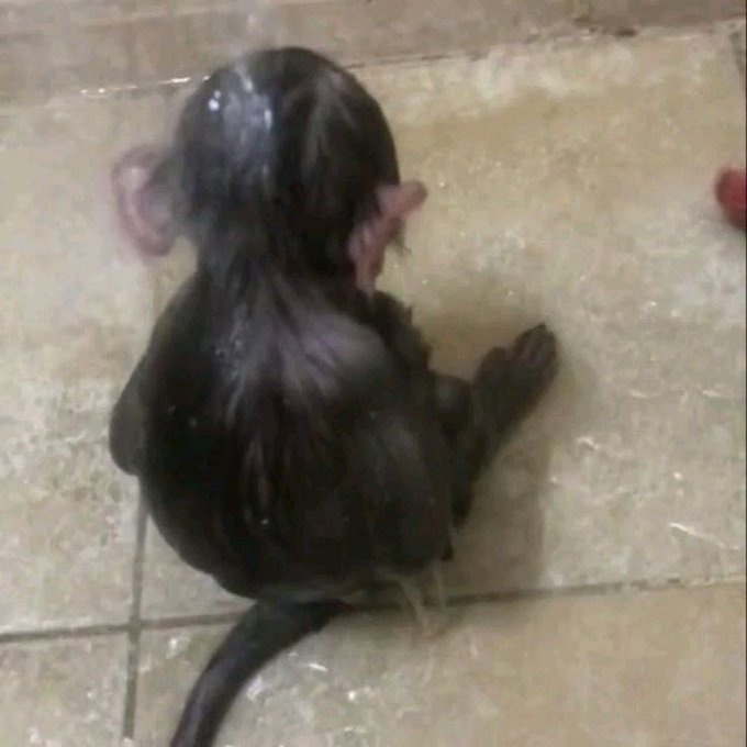 _eoantao's tweet photo. o conceito de tomar um banho quando estás triste como se a dor fosse sujeira https://t.co/sd6FZ9Uv9P
