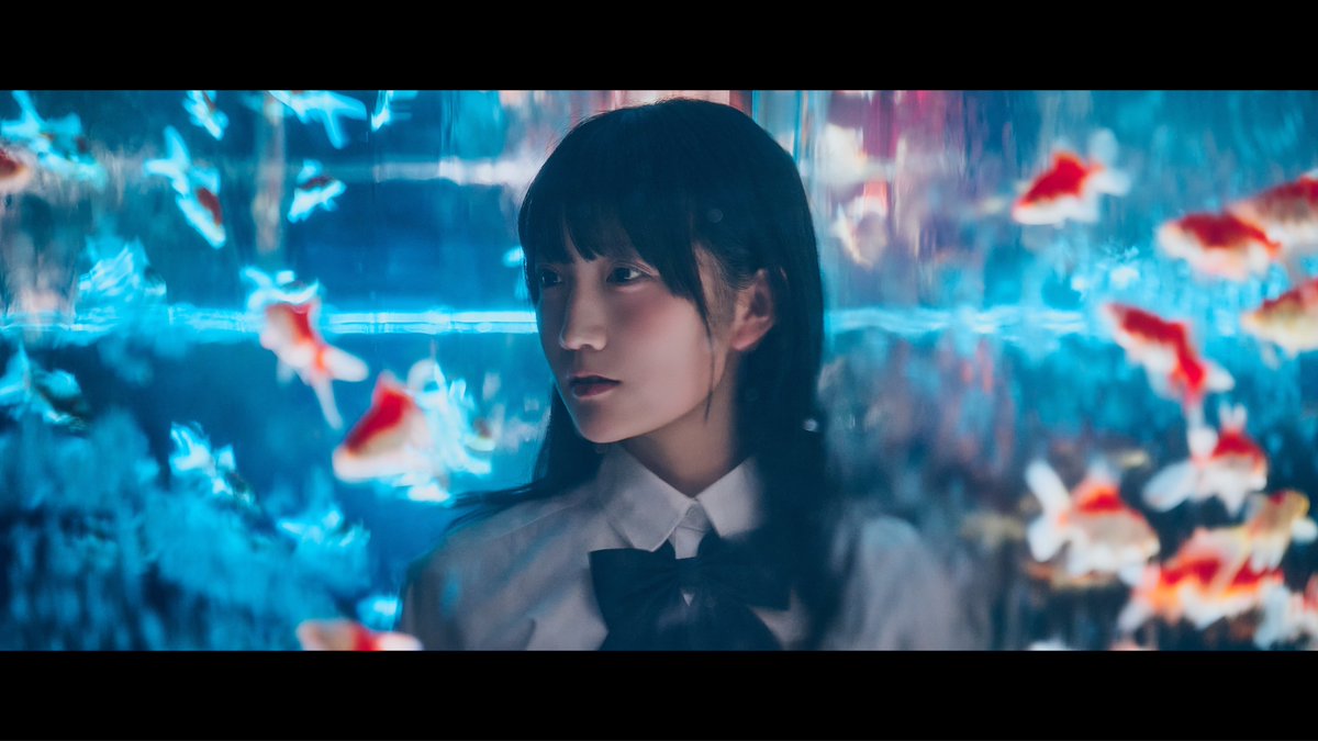 SouAono's tweet photo. 金魚 https://t.co/6ZkCLwSFbv