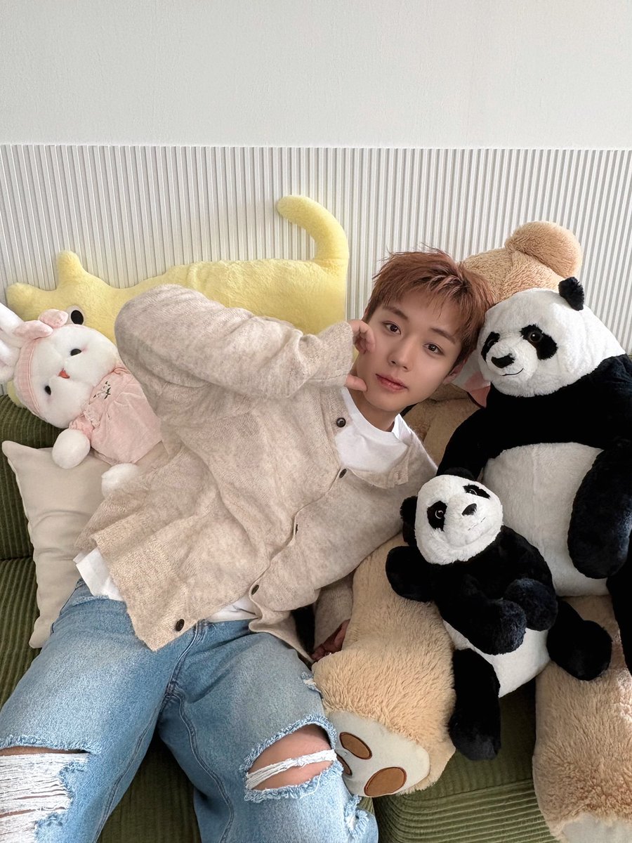 hoonymini's tweet photo. 인형+인형=💖 https://t.co/g9GsbSzDp6