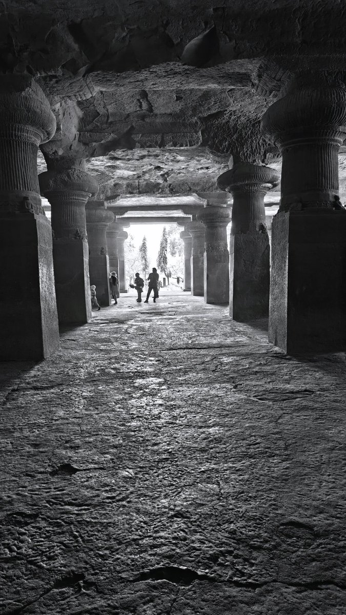 basic_gangsta's tweet photo. #elephantcave https://t.co/SNIEK0hOfp