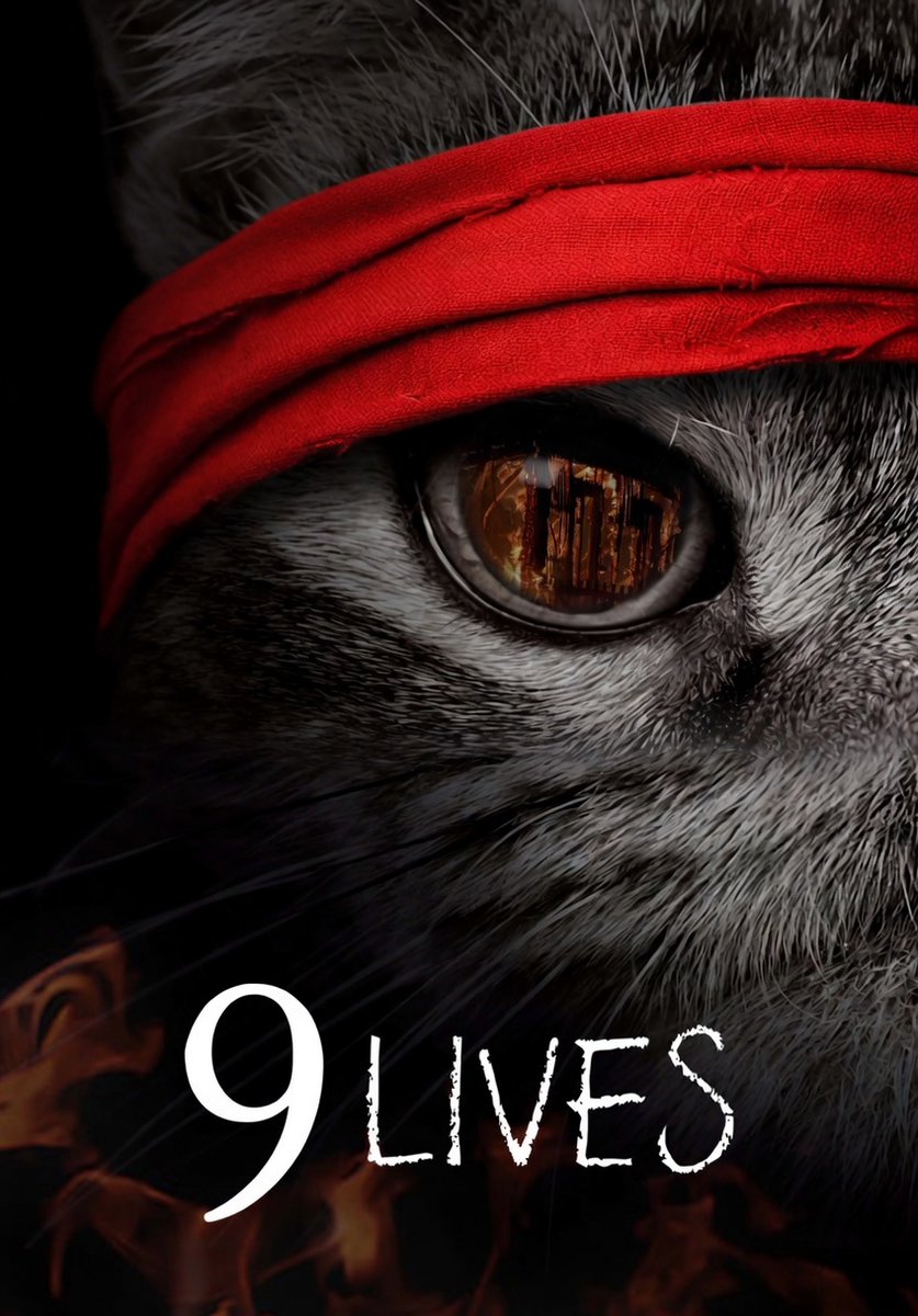 Shady_Butcher1's tweet photo. When they thought the solana:7HgfXftRBBqsYtAEYcqjGLQrNJLL6Tww9ek4rE3Apump died Bitch we kittens we got 9 lives and we haven’t even lost any of them https://t.co/fRK1qWFFP0