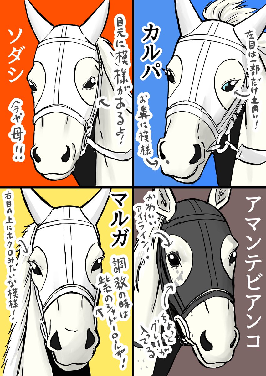 TYRANT_777's tweet photo. 同じ白毛馬でもみんなお顔が違ってみんな可愛い https://t.co/A32nFPAZFe