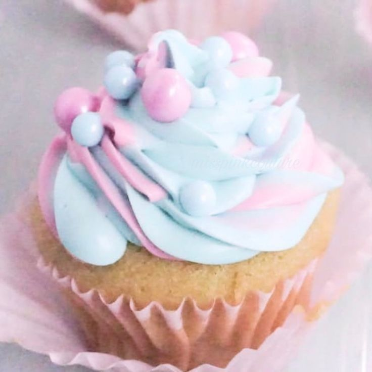 Sugar 🍭🐹 tweet media