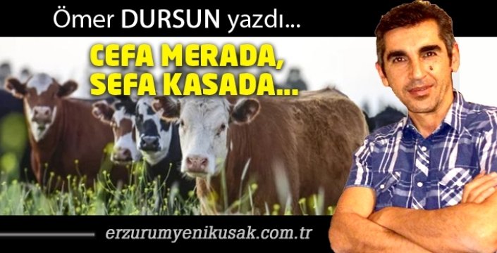 melekallioglu25's tweet photo. https://t.co/mnKSJN22p4
@omrdrsn25 https://t.co/bL8Z1MoEco