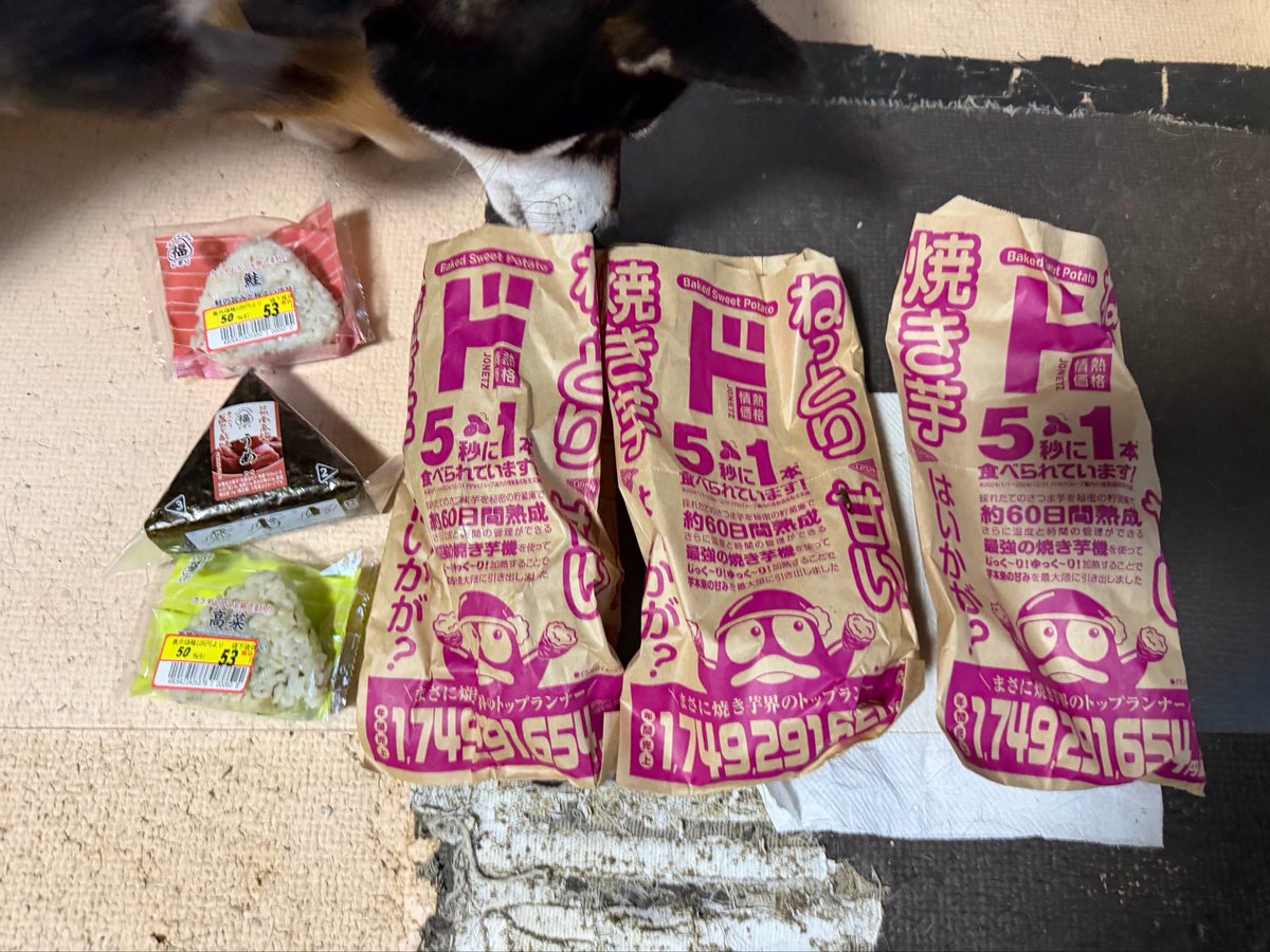 toto725527's tweet photo. 金曜日の終わりは芋やー！あと割引のおにぎりあっぱ😺
ローストチキンみたいな芋かわええ！🦹‍♂️
芋食いながらセブンの0カロリー炭酸飲料飲むのがたまんね〜あっぱ🧔🏻‍♂️ https://t.co/6uwkhGO8ff