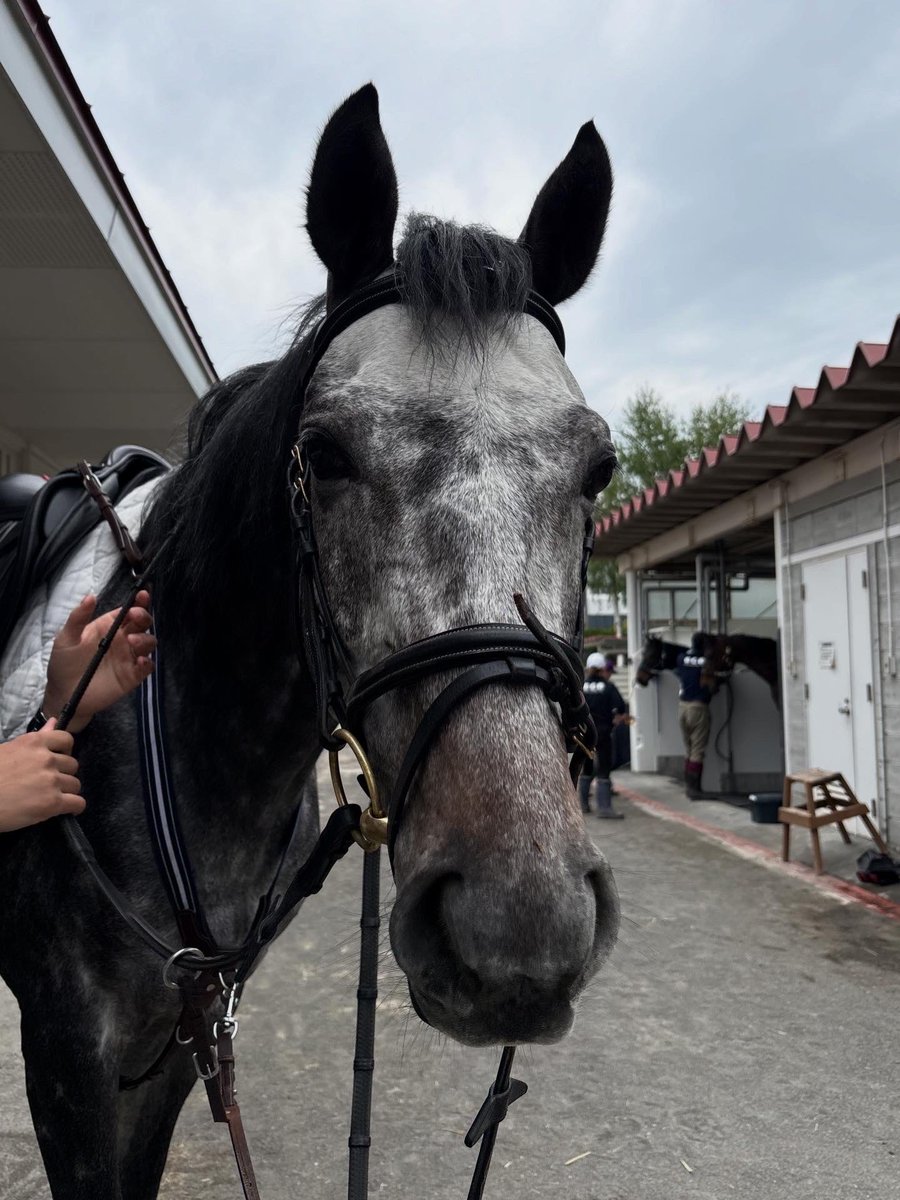 JRA札幌競馬場【公式】 (@JRASapporoRC) / Posts / X
