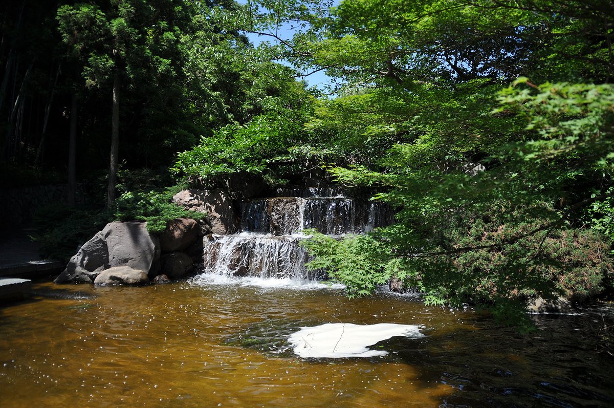 旅里 茂 tweet media