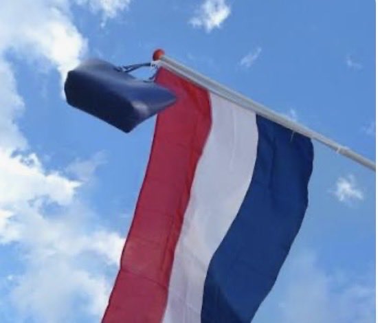 fchollveld's tweet photo. Wij feliciteren alle jeugdleden die vandaag bericht gehad hebben dat zij geslaagd zijn voor hun eindexamen 🥳🍾 https://t.co/TtVrmuK1it