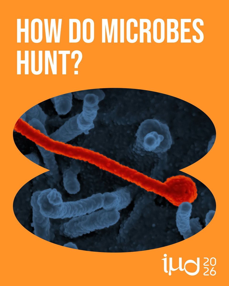 IntMicroDay tweet picture