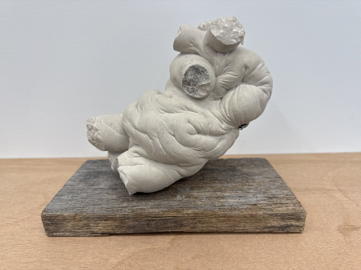 mochiunagi's tweet photo. HARMAS GALLERYでグループ展「Meeting Point」を見てきた。それぞれ異なる個性を備えた作家が清澄白河で一堂に介している。それってかなり奇跡じゃんね。 https://t.co/E4PYrrovTg