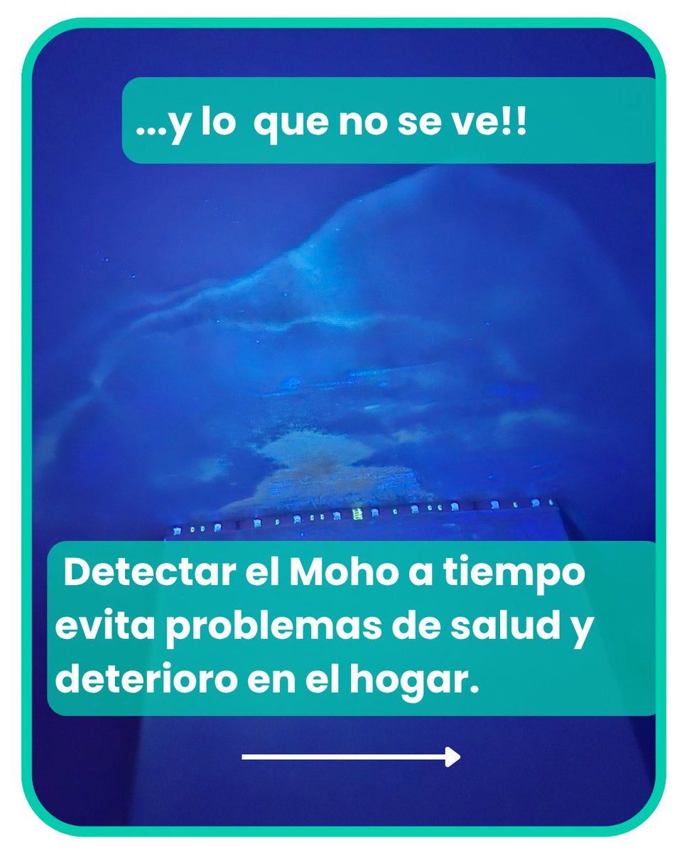 mes_habitable's tweet photo. El "moho invisible" son esporas microscópicas en el aire o colonias de moho que crecen ocultas a la vista en zonas húmedas y poco ventiladas. Se alimenta de materia orgánica y prolifera en lugares como el interior de paredes, detrás de azulejos o debajo de alfombras. https://t.co/n2aRfhQqO3