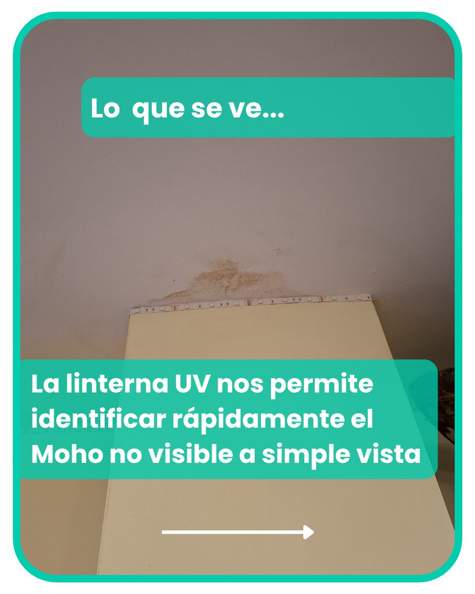 mes_habitable's tweet photo. El "moho invisible" son esporas microscópicas en el aire o colonias de moho que crecen ocultas a la vista en zonas húmedas y poco ventiladas. Se alimenta de materia orgánica y prolifera en lugares como el interior de paredes, detrás de azulejos o debajo de alfombras. https://t.co/n2aRfhQqO3
