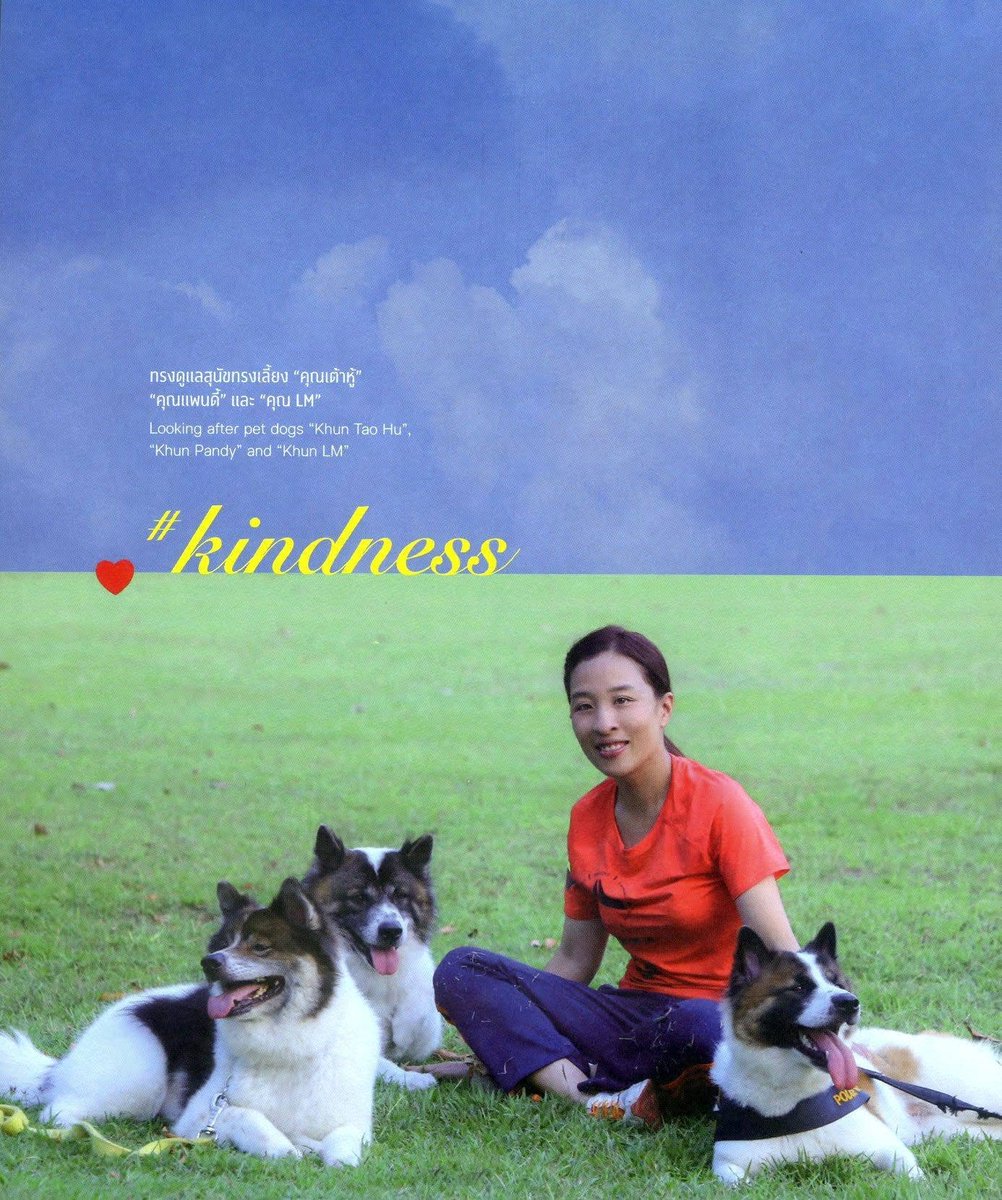 vnomenon's tweet photo. พระเมตตาต่อสัตว์น้อยใหญ่ของเจ้าฟ้าพัชรกิติยาภาฯ

เมื่อครั้งยังทรงพระเยาว์ เจ้าฟ้าพัชรกิติยาภาฯทรงมีพระเมตตาต่อบรรดาสัตว์น้อยใหญ่เสมอ อาทิ เมื่อทรงตามเสด็จพระชนนีที่ประสบภัยน้ำท่วม
ทรงทอดพระเนตรเห็นลูกวัว ก็ทรงเข้าไปกอดด้วยความสงสาร

ที่พระตำหนักจิตรลดาฯ มีอ่างเลี้ยงปลาอยู่ที่ปลายบันได คราวใดที่พระองค์ภาเสด็จผ่าน จะทรงหยุดทอดพระเนตรปลาอยู่นาน ๆ เสมอ
ครั้งหนึ่งต้องทรงส่งเสด็จพระบาทสมเด็จพระเจ้ายู่หัวรัชกาลที่เก้า และ สมเด็จพระนางเจ้าสิริกิติ์ฯ พระองค์ภาก็ทรงทอดพระเนตรปลาจนเกือบส่งเสด็จไม่ทัน

หลายครั้งที่เมื่อสเด็จกลับจากโรงเรียน ทรงทอดพระเนตรเห็นสุนัขขี้เรื้อนผอมโซ ก็จะทรงให้มหาดเล็กนำมาเลี้ยงในวัง ทุกครั้ง เสมอ จนความทราบถึงพระชนนี(พระองค์เจ้าโสมสวลีฯ) ก็ทรงกริ้วว่า ไม่ทรงมาทูลให้ทราบก่อน จนทรงทอดพระเนตรเห็นเหล่าสุนัขเดินปร๋ออยู่ในวัง ก็ทรงปล่อยเลยตามเลย และทำให้ทรงเปิดพระทวารรับเลี้ยงสัตว์จรจัดอยู่เสมอ

ครั้งหนึ่งผู้พิพากษาสมทบศาลคดีเยาวชนเห็นว่าพระองค์ภาทรงเอื้อเอ็นดูต่อสัตว์ ก็กราบทูลถามว่า มีสุนัขพันธุ์ไทยแท้คู่หนึ่งสวยมาก อยากทูลถวาย จะทรงรับเลี้ยงไว้ไหม พระองค์ภาทรงได้ยินดังนั้นก็ทรงตื่นเต้น แต่ไม่กล้ารับสั่งตอบเพราะกลัวพระชนนีจะดุ ก็ทรงรับสั่งถามอ้อม ๆ ซักไซ้ไล่เลียงถึงสุนัขคู่นี้ อยู่พักใหญ่ แต่ในที่สุด ความก็แตก เพราะมีผู้ทำหนังสือถวายสุนัขคู่นี้

สมเด็จพระองค์หญิง(พระองค์เจ้าโสมสวลีฯ) รับสั่งให้พระธิดามาหาทันที เพื่อทรงซักถามเรื่องสุนัขที่เขาจะจัดถวายนี้ บทสนทนาระหว่างพระอง์ภา และ พระองค์เจ้าโสมสวลีฯ มีดังนี้

"ภาไม่ได้ขอนี่คะ เขาเอามาให้เอง"
ทรงรับสั่งอย่างข้าง ๆ คู ๆ

"นั่นแหละ แต่พอเขาทูลถามภา ภาก็ทำท่าตื่นเต้นอยากได้ เขาก็เลยเอามาถวายใช่ไหม"
พระองค์เจ้าโสมสวลีฯรับสั่งถาม

" ก็..."
ทรงไม่รู้จะทูลตอบอย่างไร

"แล้วภาจะเอามันไปนอนที่ไหน มีอยู่แล้วไม่รู้กี่ตัว ตั้งเยอะตั้งแยะ ถ้าทรงรับอีกก็ให้นอนบนเตียงภานะ" พระองค์เจ้าโสมสวลีฯรับสั่ง

"ได้ค่ะ ให้นอนบนเตียงภาก็ได้"

พระองค์เจ้าโสมสวลีฯ แม้เวลานั้นทรงกำลังตักเตือนพระธิดา ก็ทรงอดพระสรวลไม่ได้ แต่ก็ทรงทำพระพักต์เคร่งขรึม รับสั่งว่า

"มิฉะนั้นอัมพรจะกลายเป็นสวนสัตว์ไปแน่"
(ทรงหมายถึงพระที่นั่งอัมพรสถาน)

เวลานั้นใครที่อยู่ในพระที่นั่งอัมพรสถาน จะคุ้นตากับภาพที่มีสัตว์เลี้ยงนานาชนิดตั้งแต่สัตว์ปีก สัตว์น้ำ และโดเฉพาะอย่างยิ่งสุนัขที่มีทั้งพันธุ์ไทย พันธุ์เทศและ เหล่าสุนัขจร ถึงกับมีบ้านสุนัขต่อกันยาวหน้าห้องบรรทม ซึ่งทรงเรียกว่าคอนโดสุนัข

ยามใดที่ต้องทรงจากวังไปนาน ๆ อย่างเมื่อครั้งประชวรต้องประทับที่โรงพยาบาลพระมงกุฎเกล้า เพื่อให้คณะแพท์ถวายการผ่าตัดไส้ติ่ง เมื่อคณะแพทย์ทูลว่าเสด็จกลับวังได้ ก็ทรงรีบมาทอดพระเนตรสุนัขและสัตว์เลี้ยงต่างๆ ทันที

พระเมตตาในสัตว์เลี้ยงเหล่านี้เอง ทำให้ทรงจัดตั้ง เครือข่ายคนรักน้องหมาในพระอุปถัมภ์ฯ ตั้งแต่ปี 2553 เพื่อช่วยดูแล บริหาร จัดการปัญหาสุนัขจรจัด ในการอุปถัมภ์ รักษาพยาบาล และ การทำหมัน ตลอดจนการ
สร้างที่พักพิง ที่พักฟื้นให้สุนัขจร และสุนัขที่ถูกทารุณกรรมและส่งออกไปค้าเป็นอาหาร

เพื่อแก้ไขปัญหาสัตว์เลี้ยงถูกทอดทิ้งอย่างยั่งยืน ดังพระราชดำรัสพระเจ้าหลานเธอ พระองค์เจ้าพัชรกิติยาภา(พระอิสริยยศเวลานั้น) ที่ว่า

"รักเพื่อน อย่าทิ้งเพื่อน ดูแลกันตลอดไปนะ"

น้อมรฤกในพระกรุณาธิคุณ
ในสมเด็จพระเจ้าลูกเธอ เจ้าฟ้ากรมหลวงราชสาริณีสิริพัชรฯ