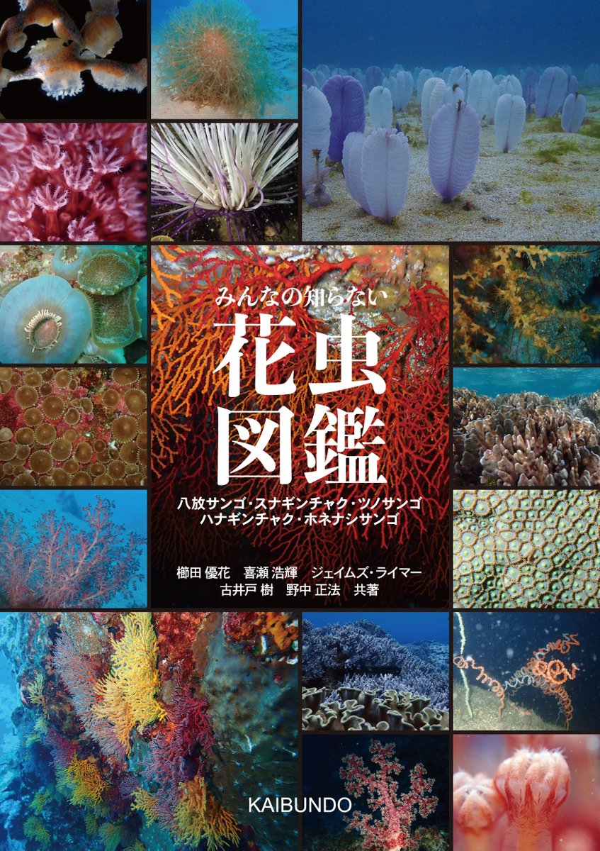 HokusuiBooks's tweet photo. 『みんなの知らない花虫図鑑』、校了になりました。見本出来は7月2日の予定です。裏表紙は鹿児島大学の櫛田研学生さん提供による八放サンゴ類の骨片写真です。海文堂出版のホームページには、概要と目次が掲載されました。
https://t.co/JBuc9nBRMU https://t.co/UxBsWQ3KeR