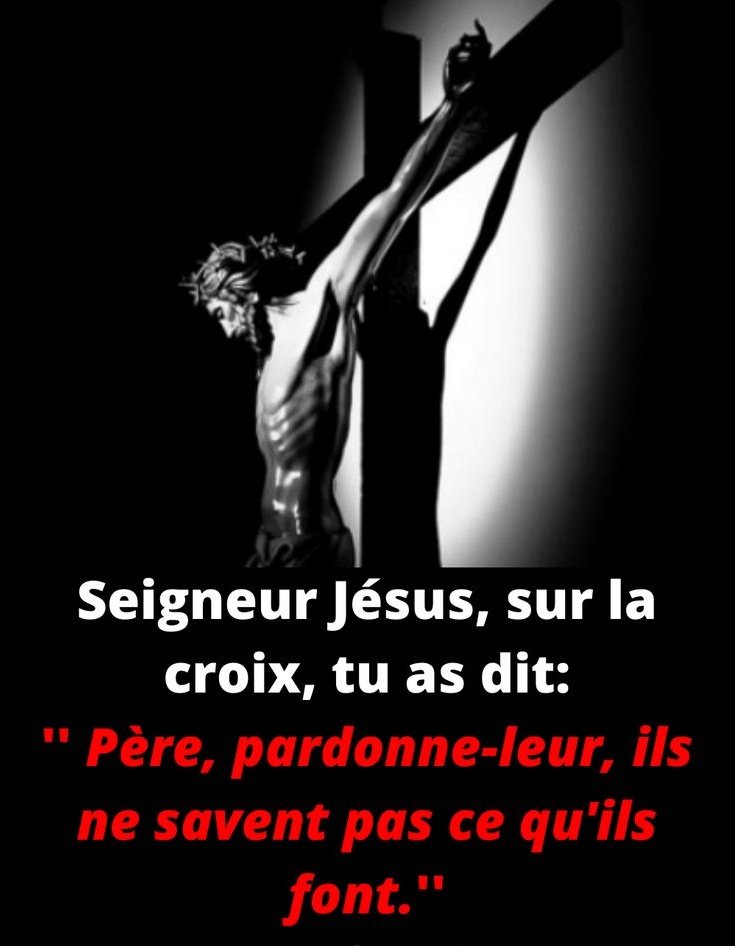 Mermette73_'s tweet photo. @1219_06_ksv @deregleurrrr @SscNapoliFRA https://t.co/3EbVLqNpH4