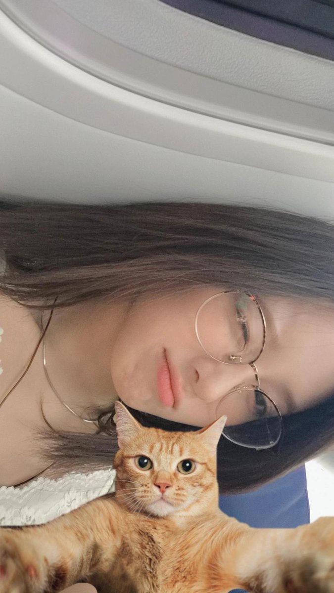 leeyujeonglover's tweet photo. 청순 꼬질 애옹 이쁨이 한번에 다 가능한거구나 https://t.co/QymB6TTRWz