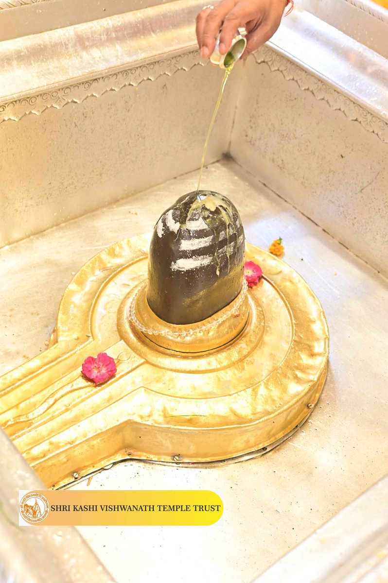 ShriVishwanath's tweet photo. श्री काशी विश्वनाथ जी की मध्यान्ह-भोग आरती I 
#kashi #darshan #kashivishwanath #VishwanathDham #blessings https://t.co/7h6pcZ7EFK