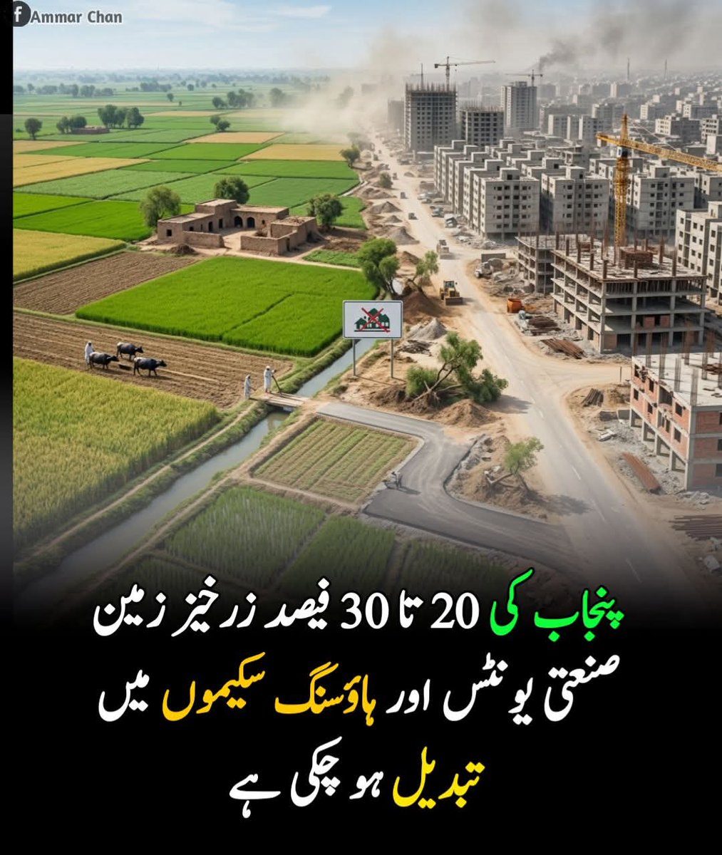 RoymukhtarRoy's tweet photo. ایسے ہی چلتا رہا تو ایک دن کھانے کو کیا دیکھنے کیلئے بھی کھیت نہیں بچیں گے
پاکستان کا ایکو سسٹم برباد ہو کر ایسی تباہیاں لائے گا کہ نہ یہ ہاؤسنگ سوسائٹیاں رہیں گے نہ ان کے مکین رہیں گے
چوکیداروں نے اس ملک کو ہر طرح سے تباہ کرنے کا عزم کر رکھا ہے https://t.co/BHkSP5Q68l