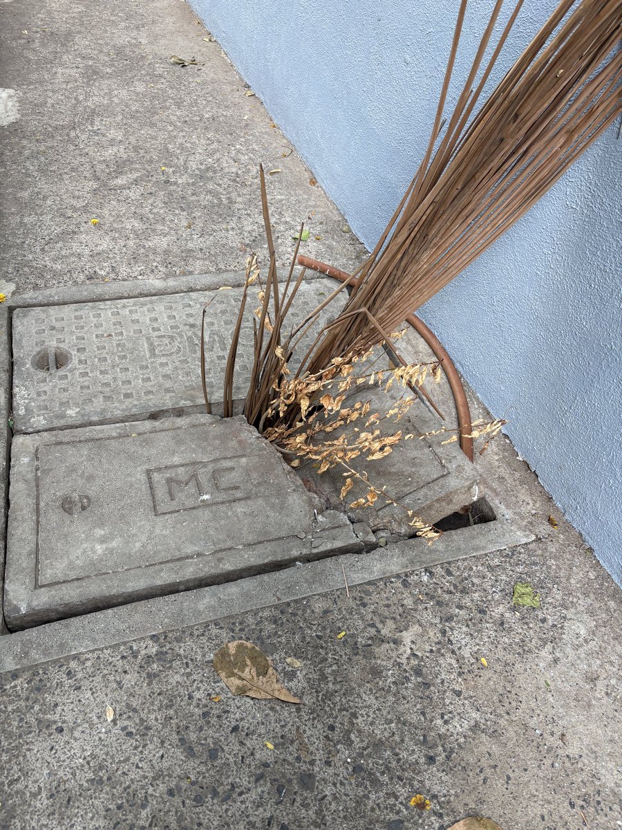 TrueBlueAqua's tweet photo. On the footpath right of St Antony’s school on St anthonys road  @mybmc @mybmcWardMW please repair before monsoon sets in. As there’s railing on footpath, no other place to walk freely. Pls replace urgently. https://t.co/PNCjtfp9PN
