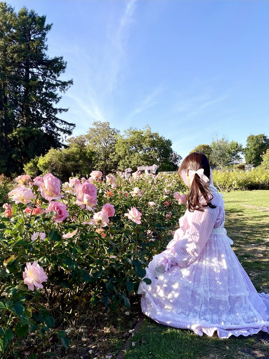 fulife0726's tweet photo. しまみさコーデとローズガーデン🌹
in California🇺🇸
#ポートレート #ロリィタ https://t.co/VN4kHnFvod