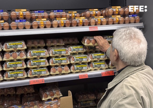 EFEnoticias's tweet photo. Los huevos se encarecen en España el 13,7 % el pasado mes de mayo respecto al mismo mes de 2025.

Lideran así las subidas de precio de la cesta de la compra.

https://t.co/80O1AVtwEk https://t.co/1OtiLCBYlO