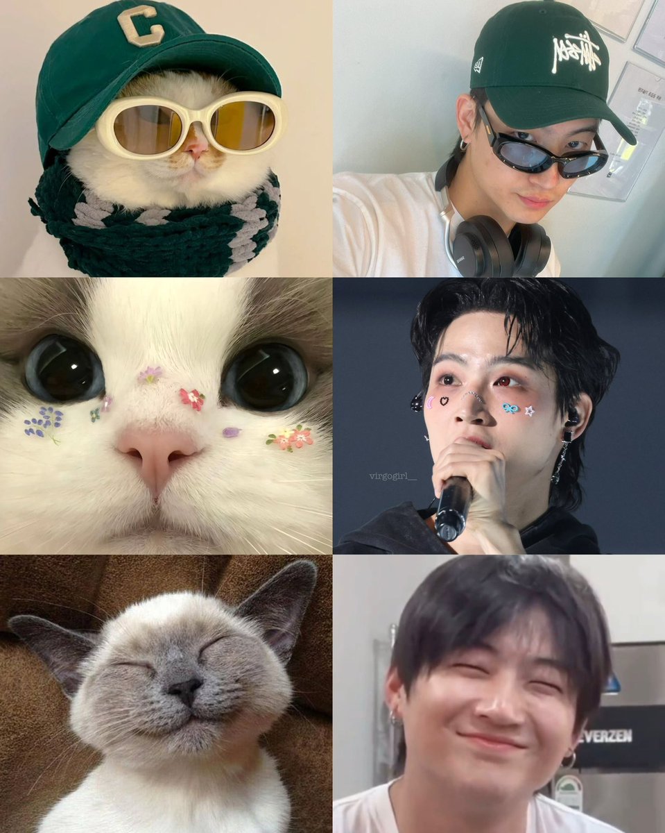 rainbÖwZ tweet media