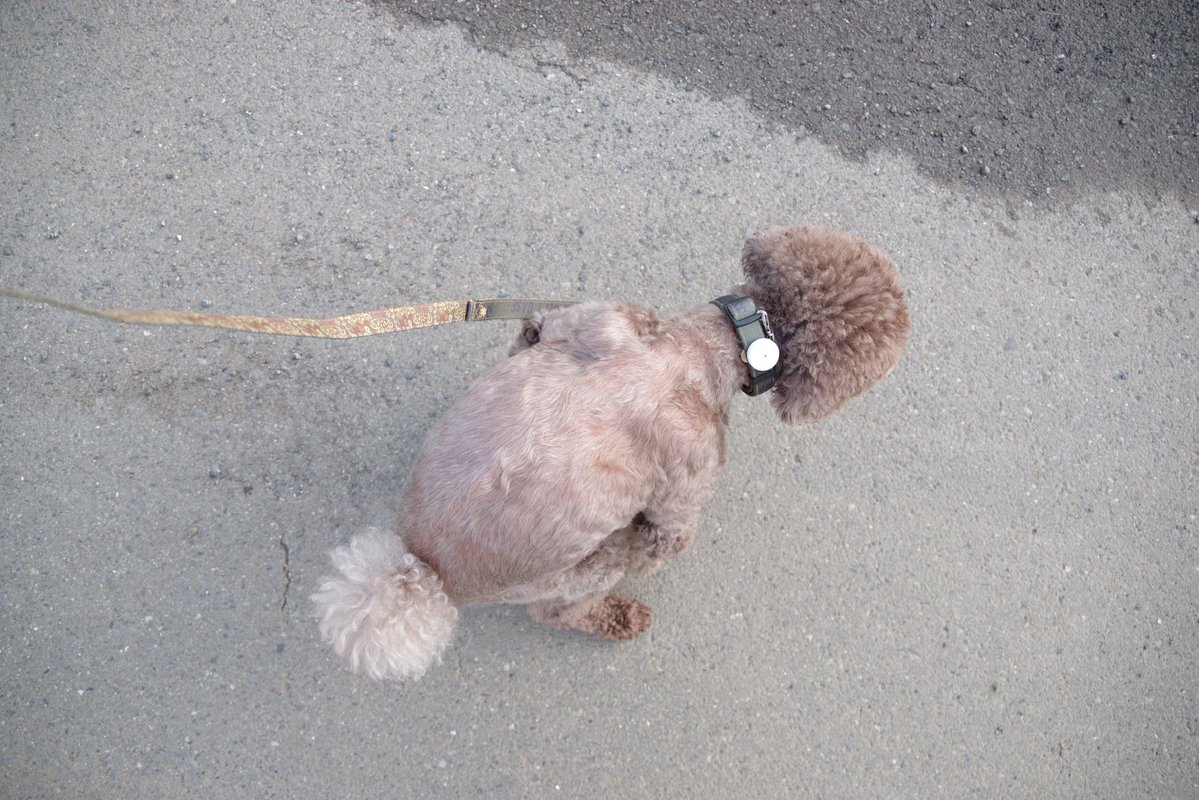 まっすん様 確認用ですペコリ(..  )♡ U*'エ'*) 1-2 南西→西