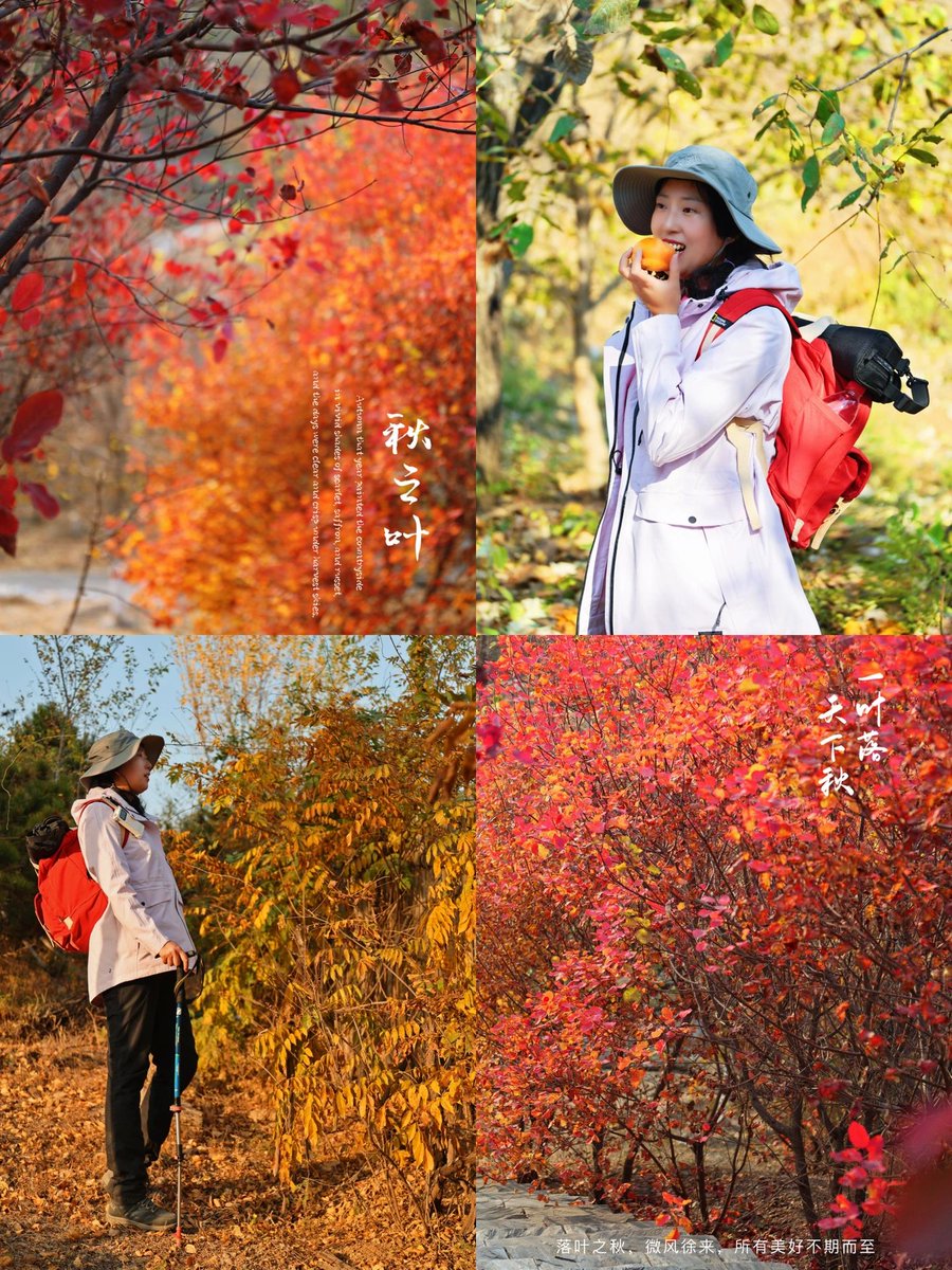 mpauling01's tweet photo. New club event! Join our campus outdoor hiking this Saturday at 8 AM at the main gate—fun, friends, and fresh air await! Tag your hiking buddy! https://t.co/cZR1FcXtRL