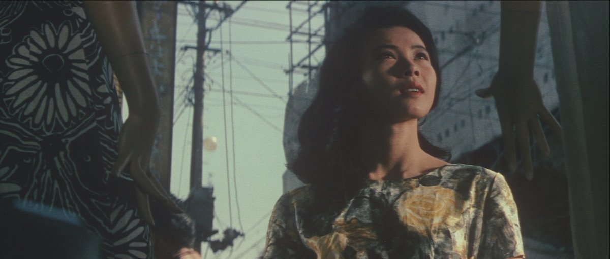 ecc72's tweet photo. Radiance Films gets lost in THE SHAPE OF NIGHT (Review): https://t.co/z7Aca9Jqoc @dvdcompare @FilmsRadiance @mvdentgroup https://t.co/yMI0hAP1EC