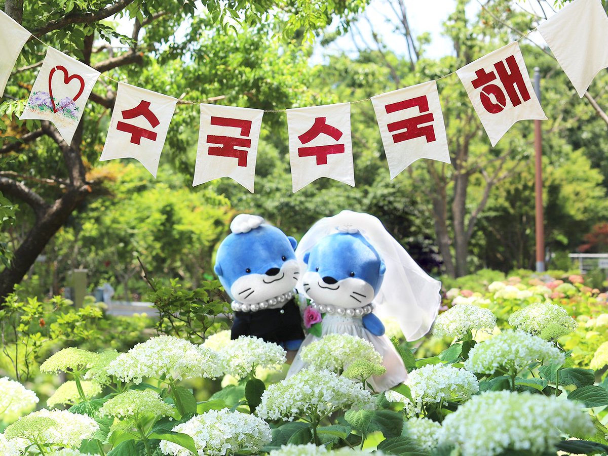 jinjucityhall's tweet photo. 오는 6월 18일부터
「2026 진주정원박람회」가 열립니다🎉

정원을 거닐며 수국도 보고,
다양한 체험을 즐길 수 있는 시간✨
많이 놀러오세요💚

「2026 진주정원박람회」

📍일시
- 2026. 6. 18.(목) ~ 6. 21.(일)

📍장소
- 월아산 숲속의 진주

#진주 #진주정원박람회 #월아산숲속의진주 #지방정원 https://t.co/yUDxBpkMpr
