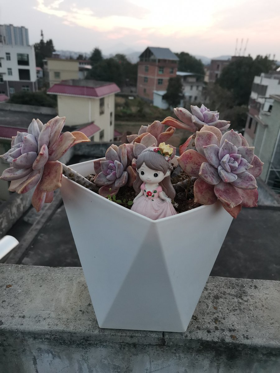 marcus_meseck's tweet photo. Turn an old mason jar into a stylish planter with a rope handle—cheap, quick, and perfect for small succulents! https://t.co/1KikWpFVLb