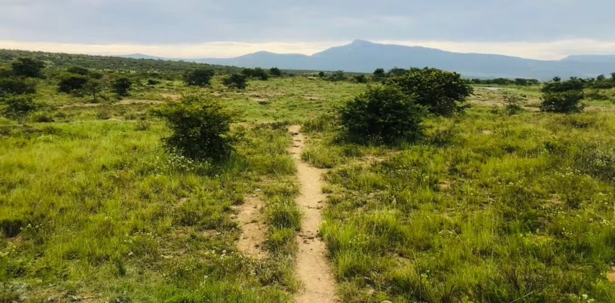 SAfmRadio's tweet photo. [ON AIR] We take a look at tribal woes faced by the residents of Elias Motsoaledi Municipality in the Sekhukhune District of Limpopo with Nolundi Luwaya, Director of the Land and Accountability Research Centre at @UCT_news on #TheDailyCourse with @JoanneGJoseph #sabcnews https://t.co/ywGNuAieoJ