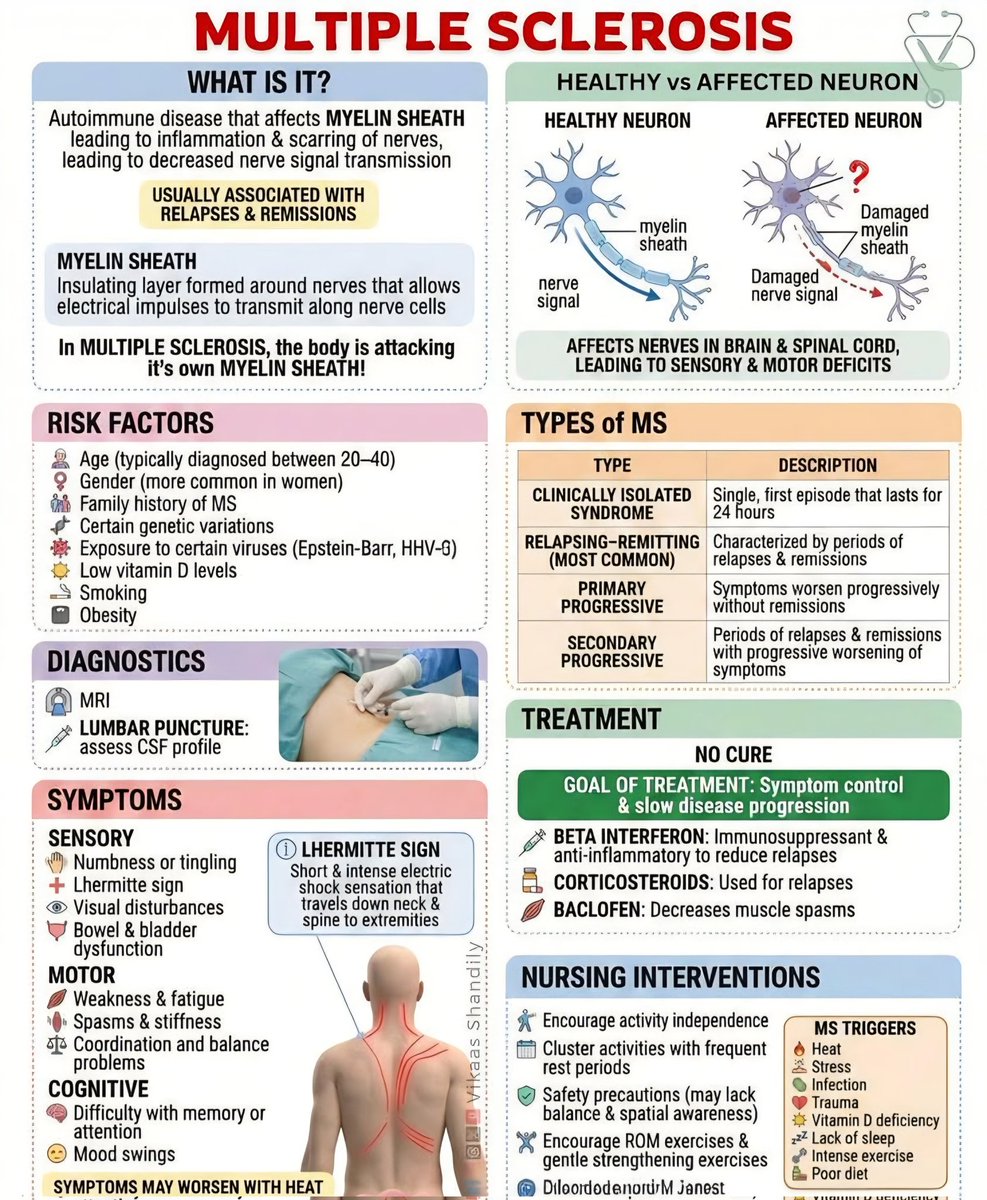MededDaily42640's tweet photo. MULTIPLE SCLEROSIS. https://t.co/pWI7FgjHZH
