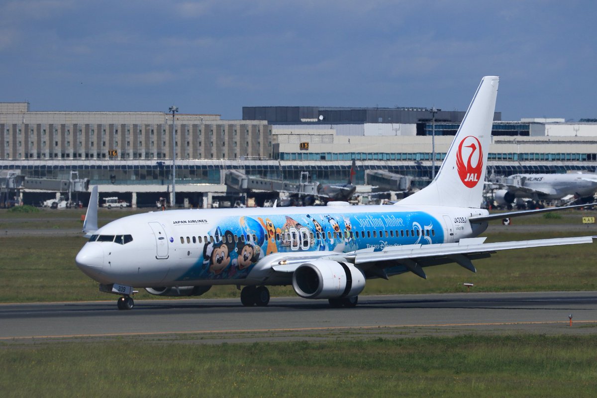 kenmei930's tweet photo. 午前の用事を午後にずらし「Sparkling Jubilee」ディズニーシー25周年記念塗装機を撮影出来ました！これからゆっくり都合つけば撮影に行ける。
 #jal
 #SparklingJubilee 
 #ja339j
 #Disney
 #ディズニーシー25周年
 #飛行機撮影
 #新千歳空港 https://t.co/ZnJYS5sJgC
